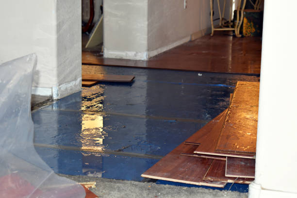 Professional Water Damage Restoration technician working in Huntingtown, MD